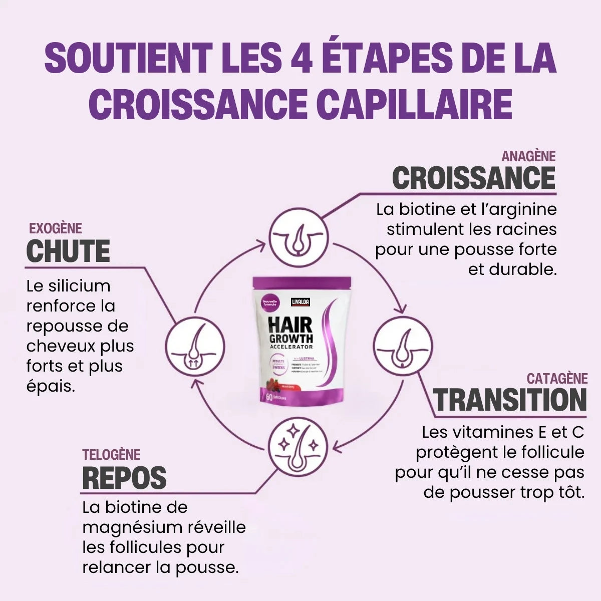 Boost de Croissance Capillaire